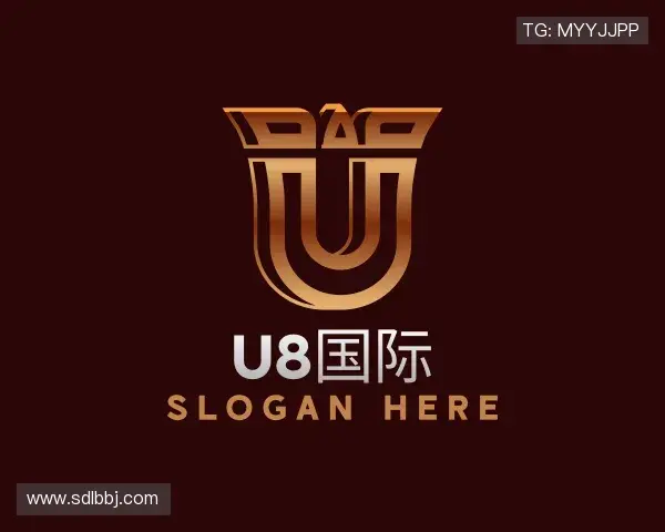 介绍U8国际